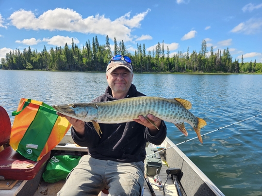 Muskellunge