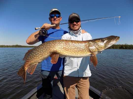 Northern Pike