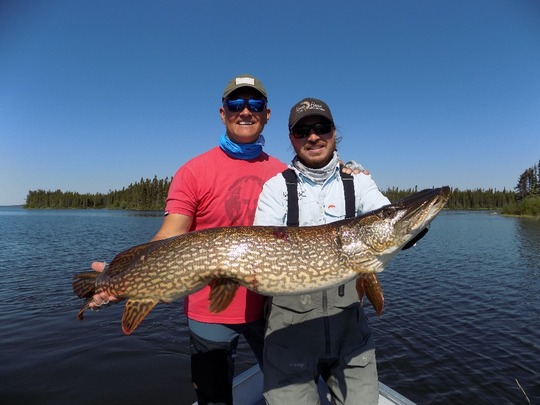 Northern Pike