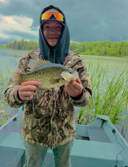 Black Crappie