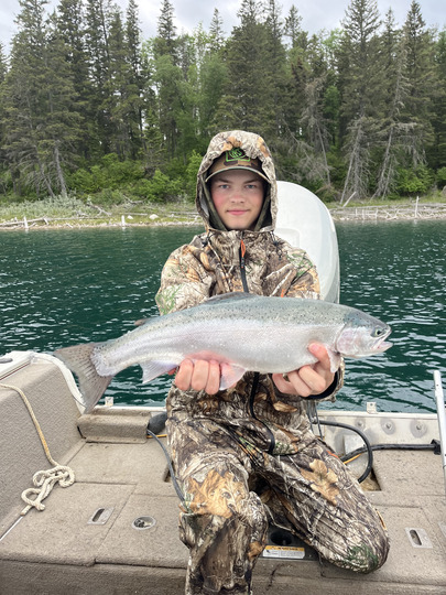 Rainbow Trout