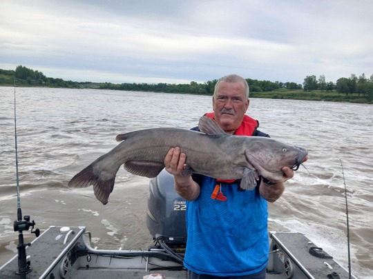 Channel Catfish