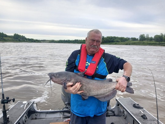 Channel Catfish