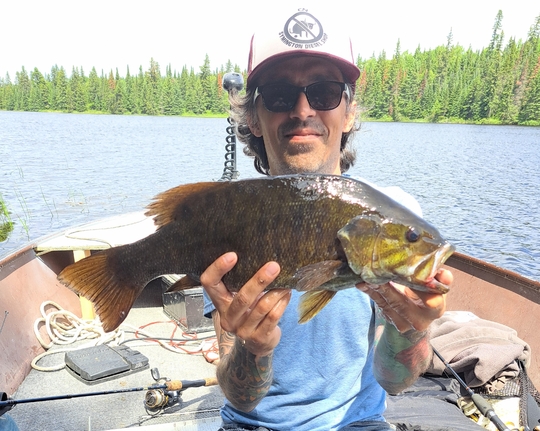 Smallmouth Bass