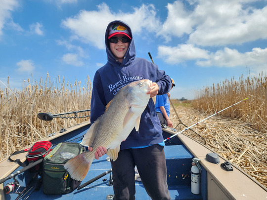 Freshwater Drum