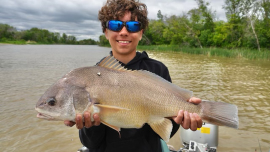 Freshwater Drum