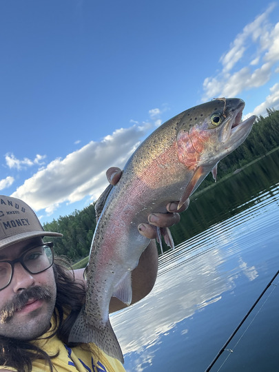 Rainbow Trout