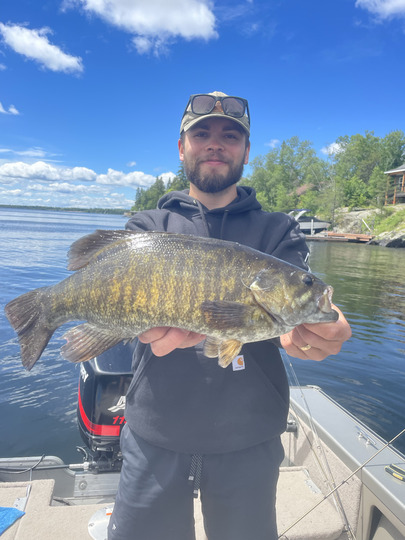 Smallmouth Bass