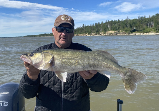 Walleye