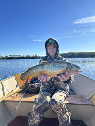 Tiger Trout