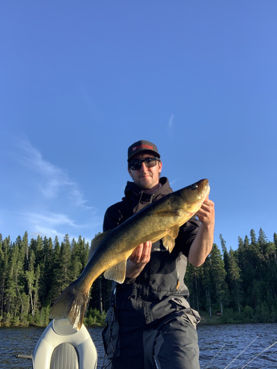 Walleye