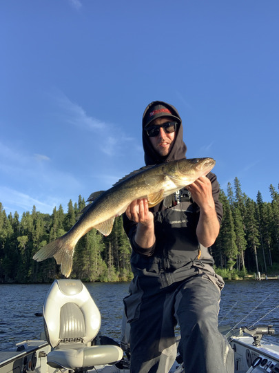 Walleye