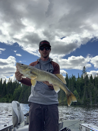 Walleye