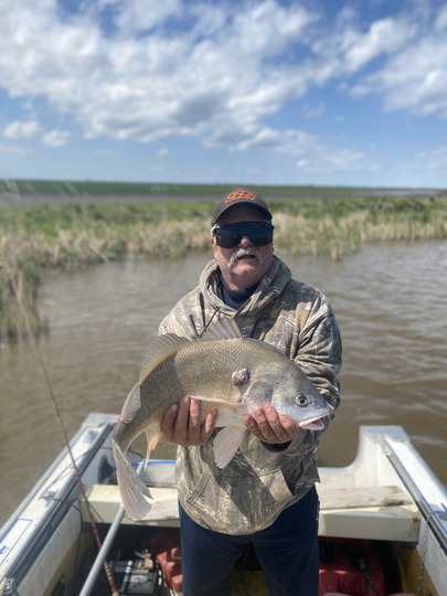 Freshwater Drum