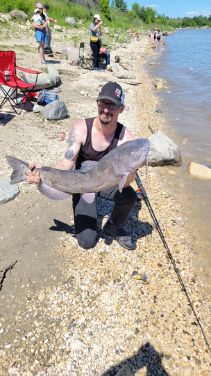 Channel Catfish