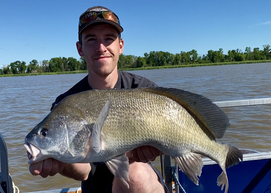 Freshwater Drum