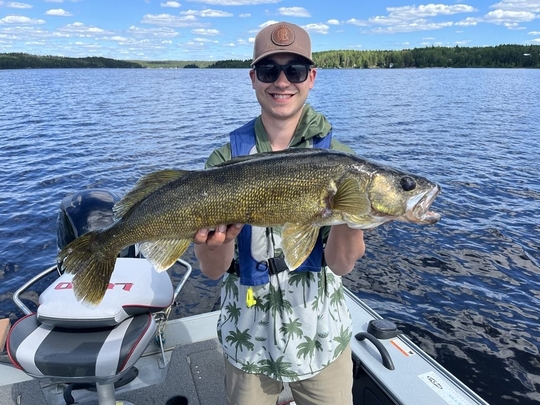 Walleye