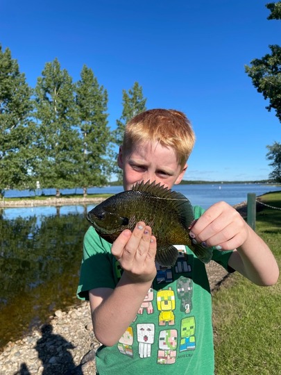 Sunfish