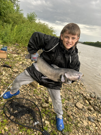 Channel Catfish