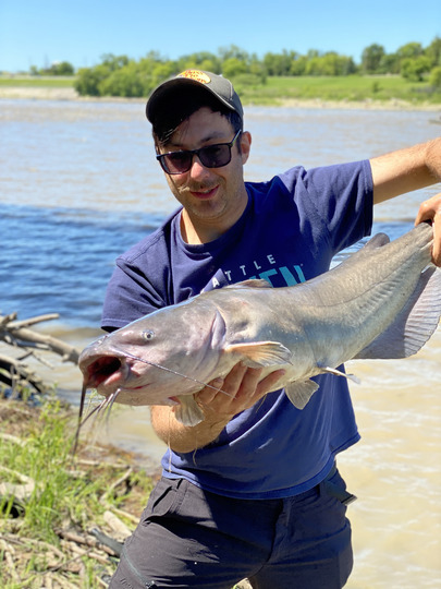 Channel Catfish