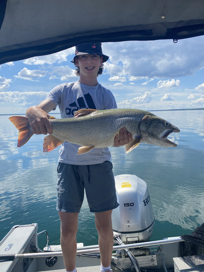 Lake Trout