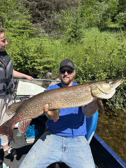 Northern Pike