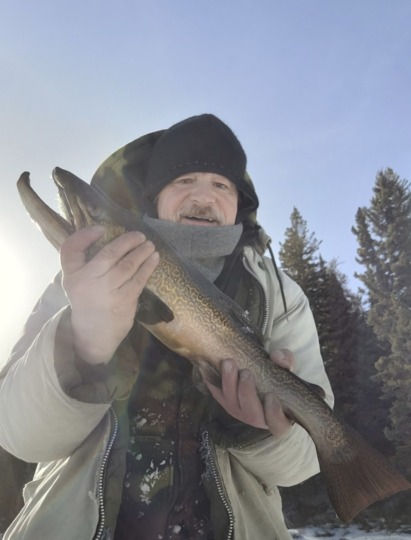 Tiger Trout