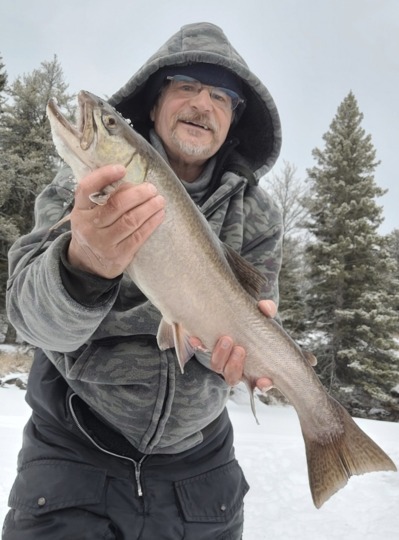 Tiger Trout