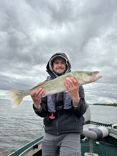 Walleye