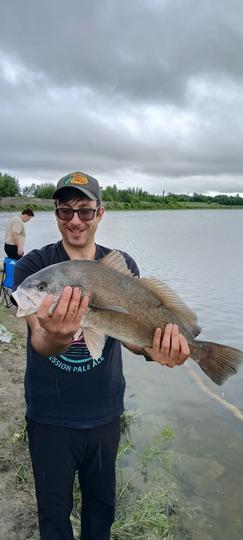 Freshwater Drum