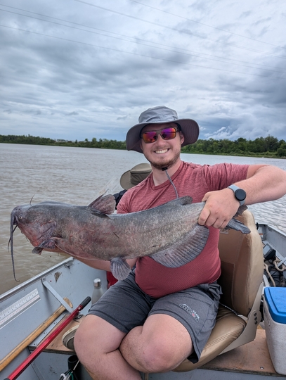 Channel Catfish