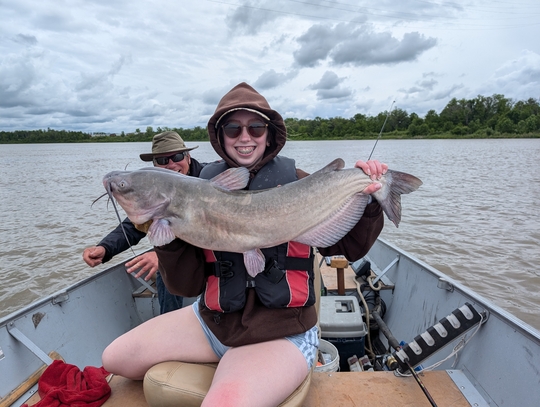 Channel Catfish