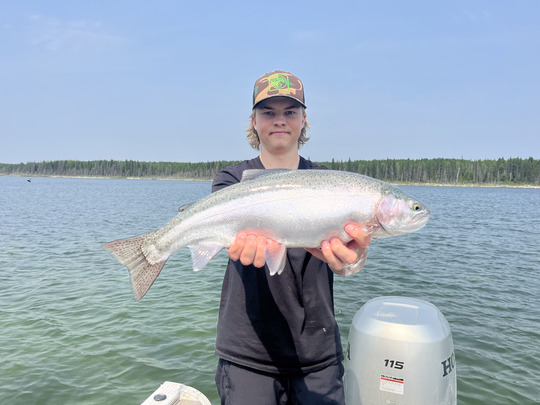 Rainbow Trout