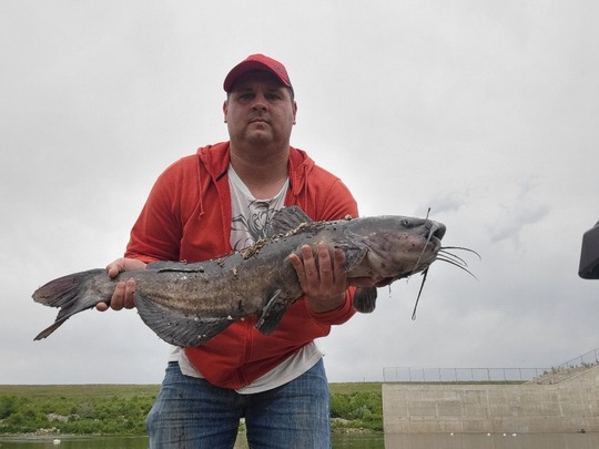 Channel Catfish