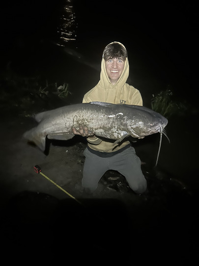 Channel Catfish