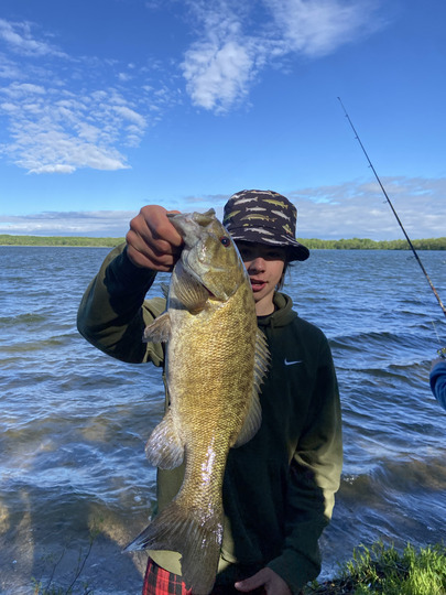 Smallmouth Bass