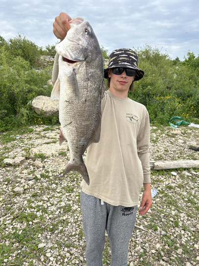 Freshwater Drum