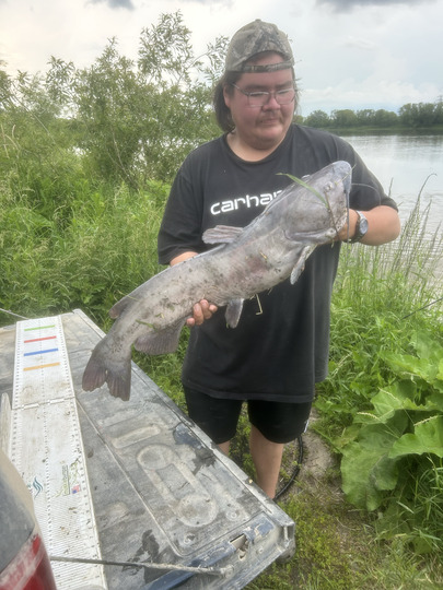 Channel Catfish