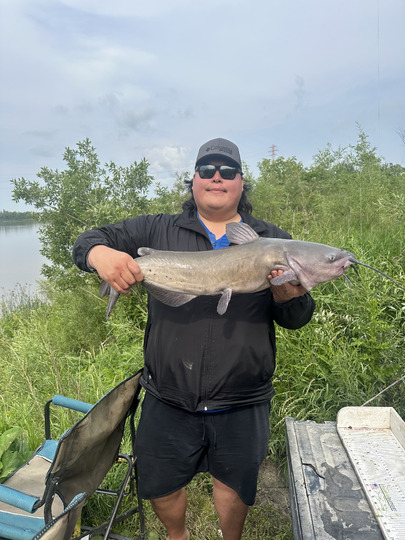 Channel Catfish