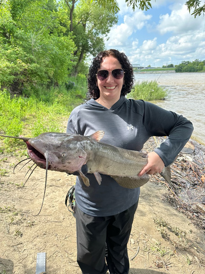 Channel Catfish