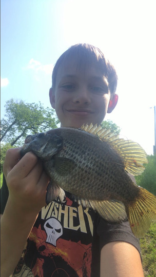 Rock Bass