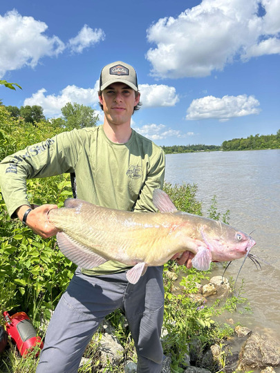 Channel Catfish