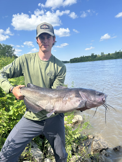 Channel Catfish