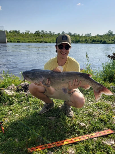 Channel Catfish