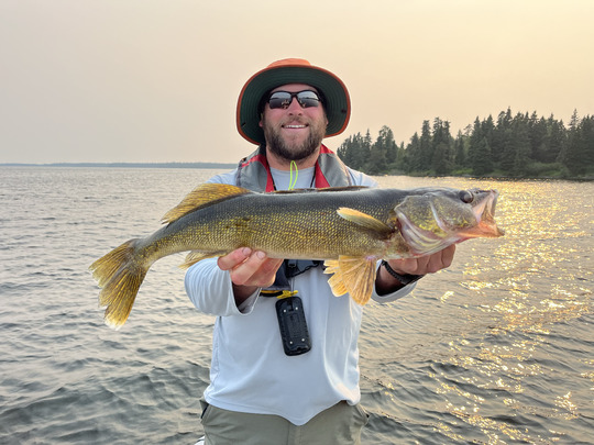 Walleye