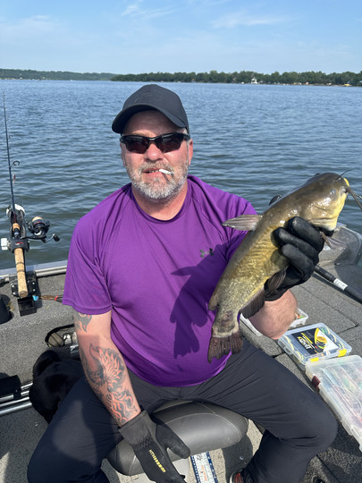 Bullhead