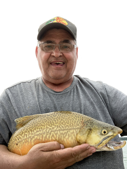 Tiger Trout