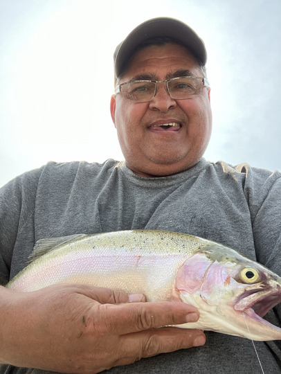 Rainbow Trout