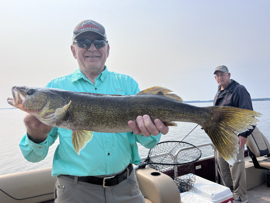 Walleye