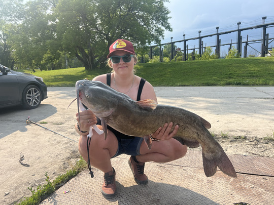 Channel Catfish